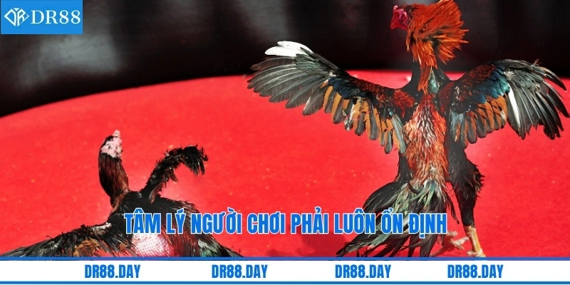 Tâm lý người chơi phải luôn ổn định