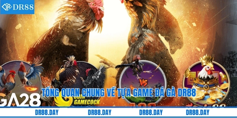 Tổng quan chung về tựa game đá gà DR88