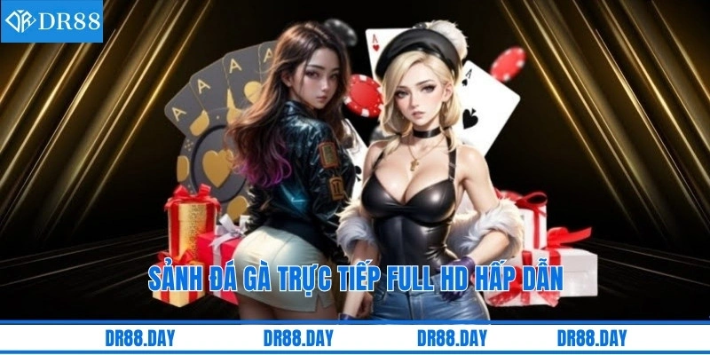 Sảnh đá gà trực tiếp full HD hấp dẫn