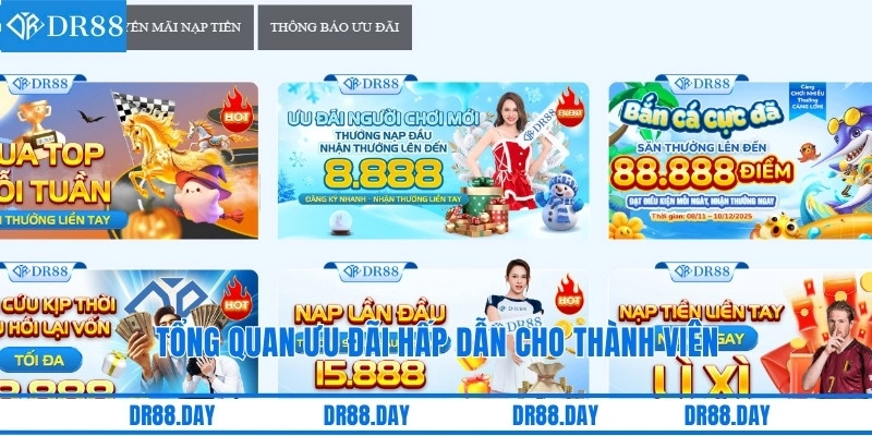Tổng quan ưu đãi hấp dẫn cho thành viên